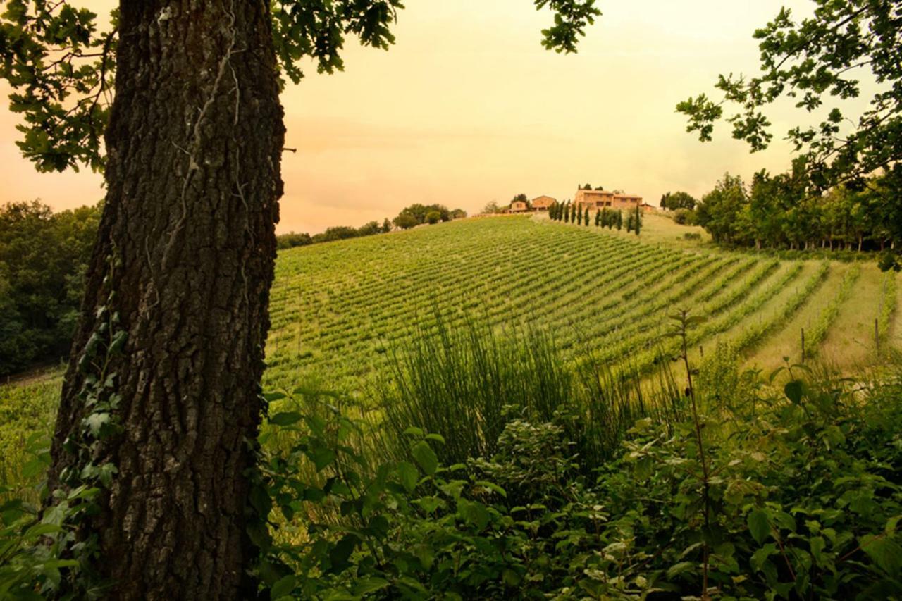 Casali Di Casole - Timbers Tuscany Casole dʼElsa Exterior foto